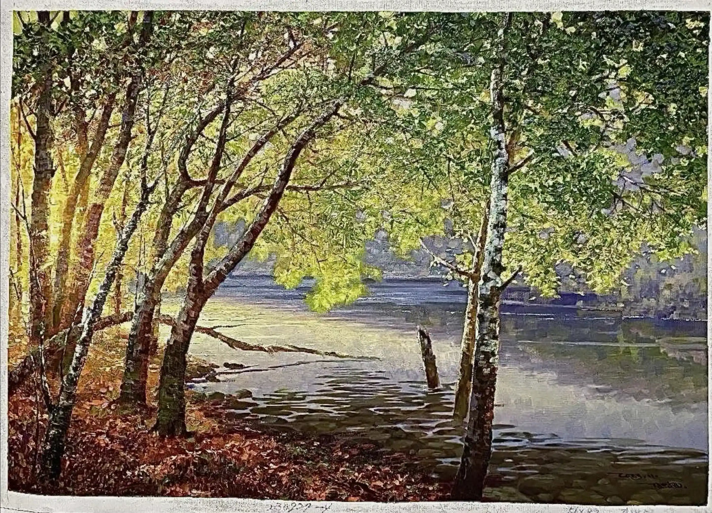 art-paysage-vue-rivage-lac-peinture-huile sur toile